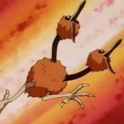 Portrait de Doduo Sauvage