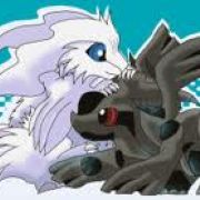 Portrait de reshiram